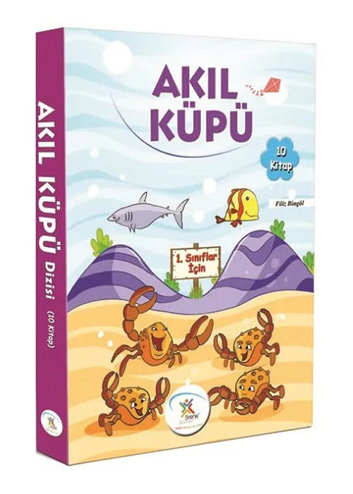 Akıl Küpü Cevap Anahtarı